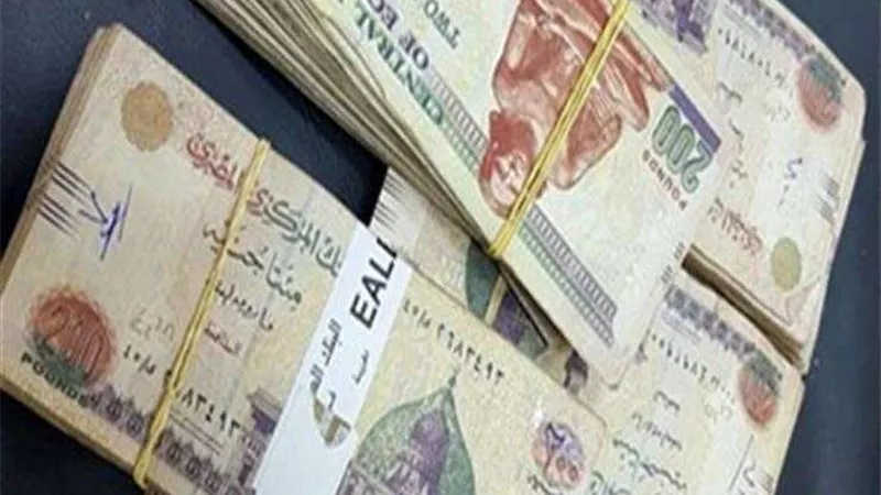 المالية: 30% زيادة في الكميات المطروحة من 