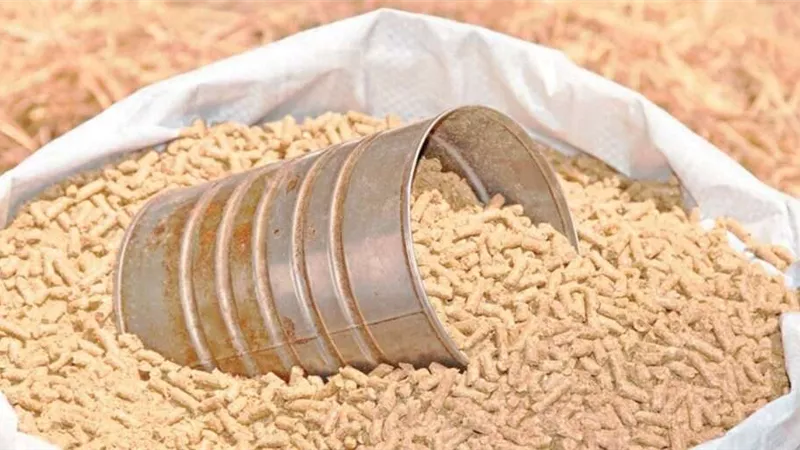 ضبط 8 طن أعلاف مجهولة المصدر بمحافظتي الغربية وقنا خلال 24 ساعة