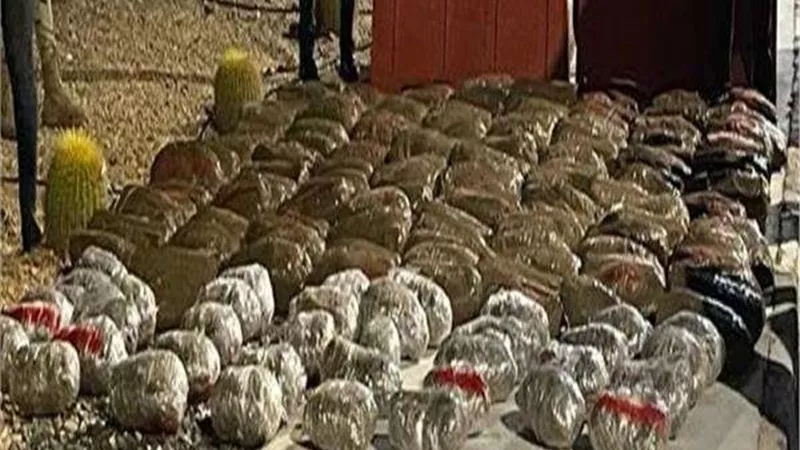 بينهم أجنبي.. القبض على 3 أشخاص بحوزتهم 120 طربة حشيش بالمعادي