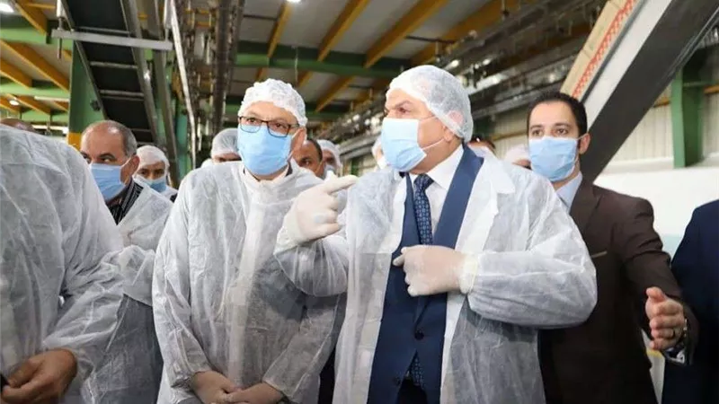 القوى العاملة: صرف 3.2 مليون جنيه منحًا لـ3208 عامل غير منتظم بالوادي الجديد