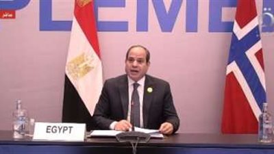 مسيرات بالسيارات لدعم الدولة والرئيس السيسي.. فيديو