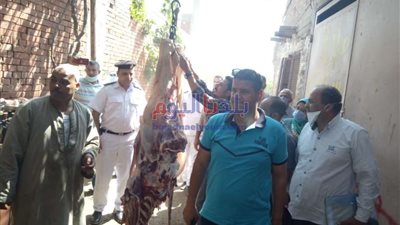 تحرير 7 قضايا وضبط 620 كجم لحوم غير صالحة بـمراكز المنيا