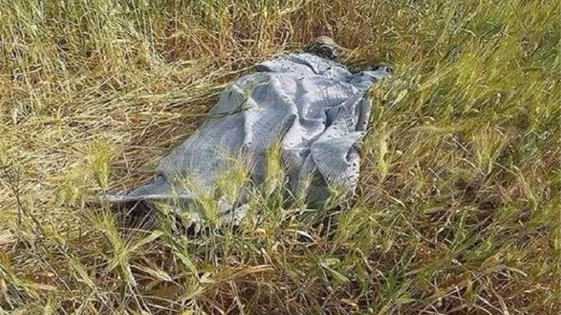 4 رجال وسيدة يعذبون شاب حتى الموت ويتخلصوا من جثته بإلقائها بمقابر القليوبية | تفاصيل