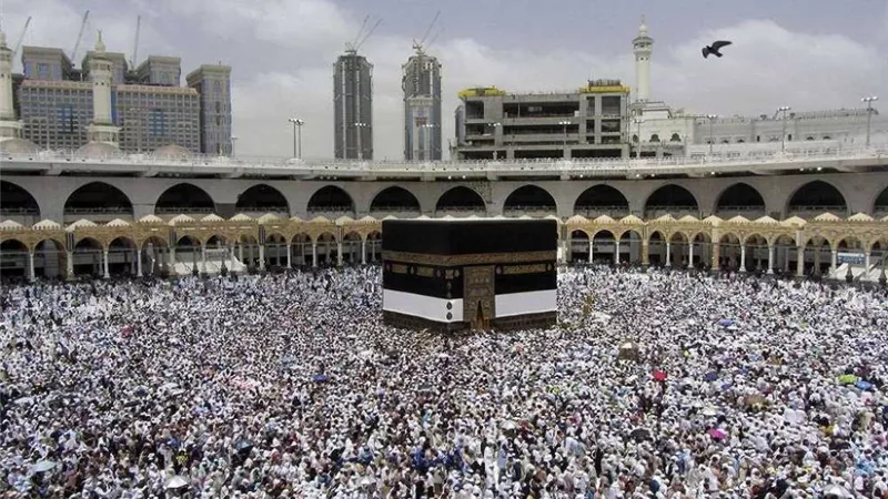 ماذا سيحدث للحجاج بعد انتهاء المناسك؟.. وزارة الحج تجيب