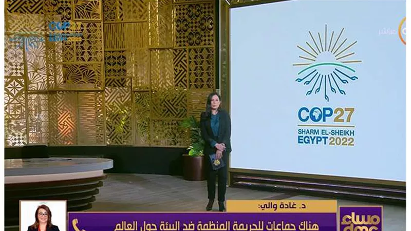 فيديو| غادة والي: هناك جرائم محددة ترتكبها جماعات للجريمة المنظمة تضر بالبيئة