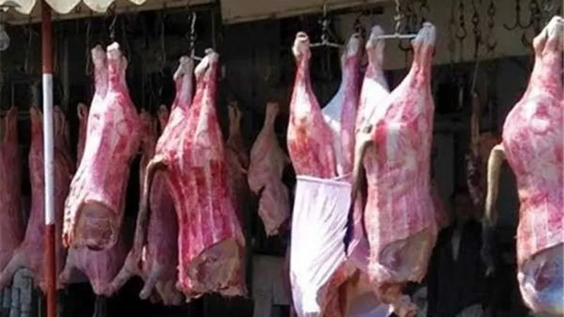 ضبط كمية ضخمة من اللحوم الفاسدة داخل أحد المحلات بالدقهلية