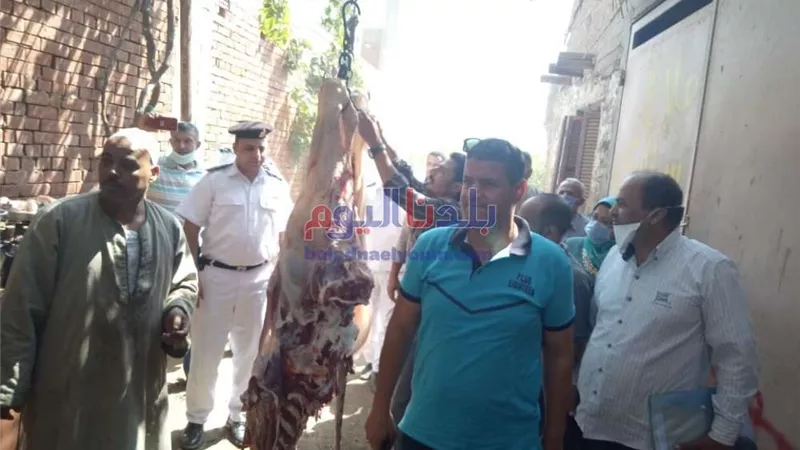 تحرير 7 قضايا وضبط 620 كجم لحوم غير صالحة بـمراكز المنيا