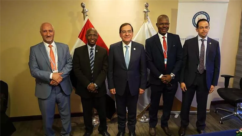 دعم أفريقيا والنهوض بها على مائدة مباحثات وزير البترول والأمين العام لــ Appo