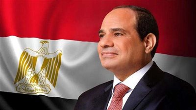 الرئيس السيسي يتابع الموقف المائي لمشروعات استصلاح الأراضي بجنوب الوادي