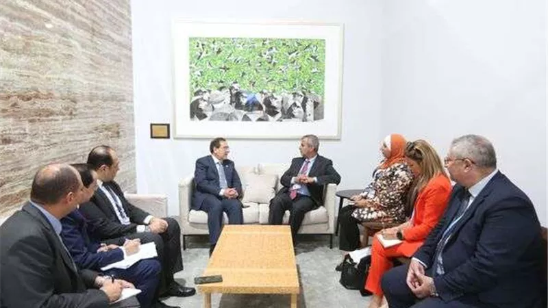 وزير البترول يستعرض مع نظيره الأردنى رؤية مصر للطاقة