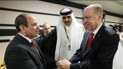 خبير علاقات دولية : قمة السيسي وأردوغان نجاح للسياسة الخارجية للبلدين