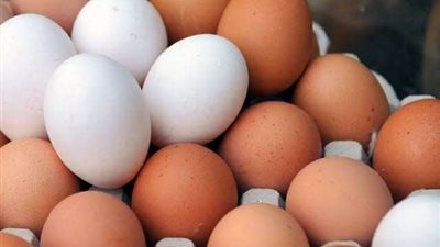 تعرف على سعر البيض اليوم الإثنين 21 نوفمبر للمستهلك