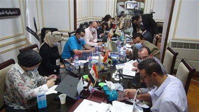 بالصور.. تنسيقية شباب الأحزاب والسياسيين ترصد مشاهد العملية الانتخابية