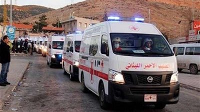 الحكومة الألمانية تسلم الصليب الأحمر اللبناني مليون يورو