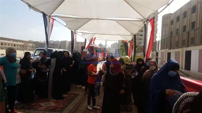 شاهد.. إقبال كبير من الناخبين على لجان حلوان في انتخابات الشيوخ