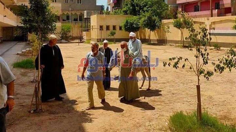 بلدنا اليوم