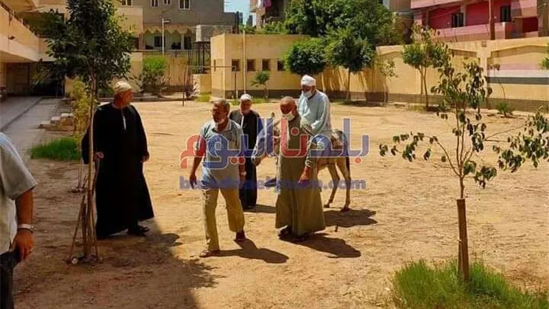 مسن يدلي بصوته في انتخابات مجلس الشيوخ على 