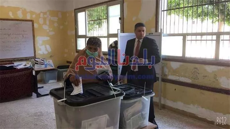 نتيجة انتخابات مجلس الشيوخ وتفاصيل موعد إعلان الفائزين والإعادة