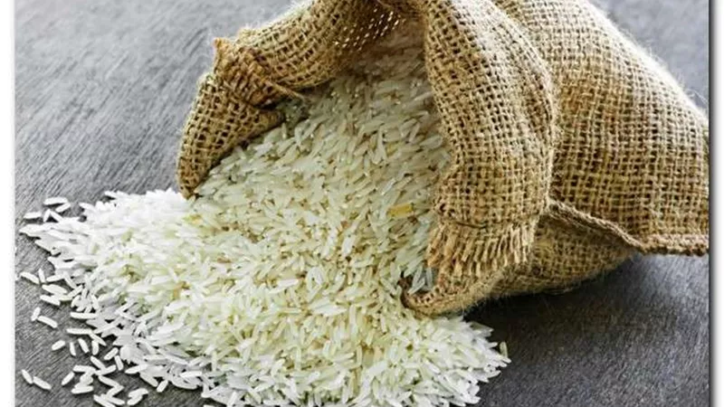 إنذار عاجل من وزارة التموين للمزارعين بشأن الأرز