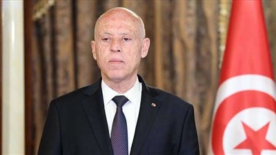 الرئيس التونسي يؤكد ضرورة التَمسك بأملاك الدولة