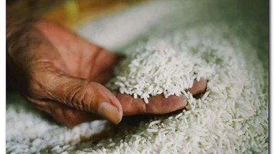 ضبط صاحب مخزن لاحتكاره 100 طن أرز شعير بالبحيرة