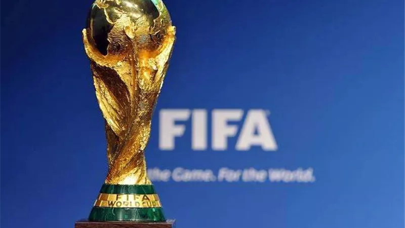 بعد فوز البرازيل.. تعرف على ترتيب المجموعة الثامنة من كأس العالم 2022