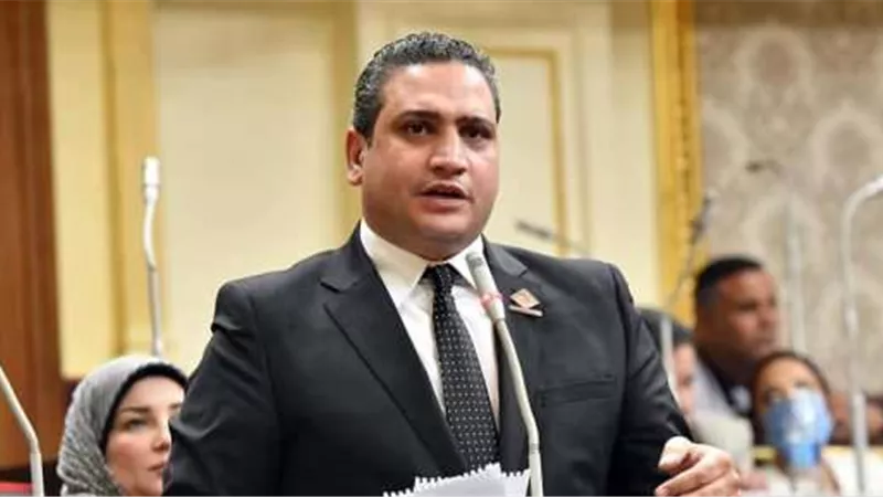 عماد خليل نائب التنسيقية: قرار البرلمان الأوروبى ملىء بالمغالطات والأكاذيب