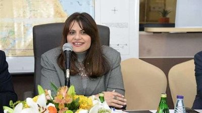جندي: إتاحة إمكانية الشراء من المنطقة الحرة فرصة للمصريين بالخارج