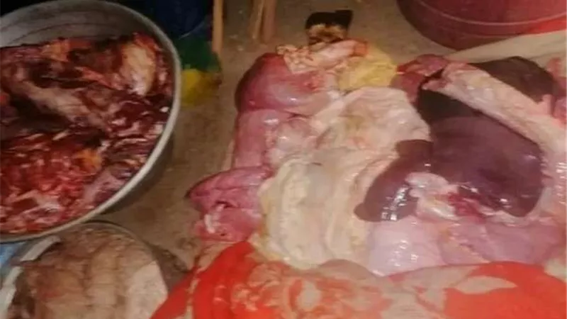 ضبط 250 كيلو لحوم مجمده مجهولة المصدر بالمنوفية