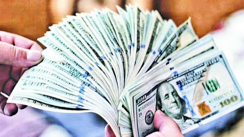 سعر الدولار مقابل الجنية المصري بنهاية تعاملات اليوم السبت في البنوك المصرية