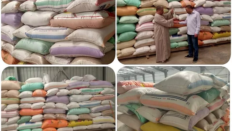 توريد 58530 طن أرز لشون المحافظة بالبحيرة