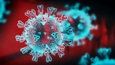 الصحة العالمية تحدد الفئة العمرية التي تنقل 