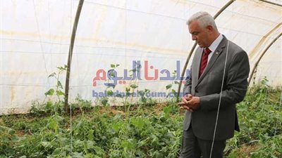 زراعة المنوفية: ضبط 15 طن أسمدة ومخصبات زراعية غير مرخصة بقويسنا وتحرير 4130 محضر تقسيم