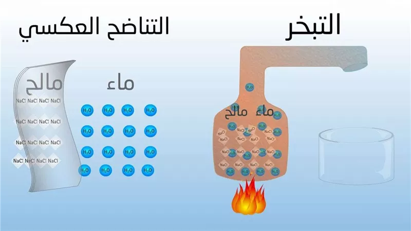 مرعي: تحلية مياه البحر تعتمد على نظرية تسخين المياه لدرجة الغليان