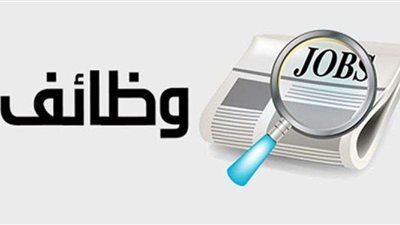 هتشتغل بمرتب وشنطة سلع.. الشباب والرياضة توفر فرص عمل لجميع الفئات