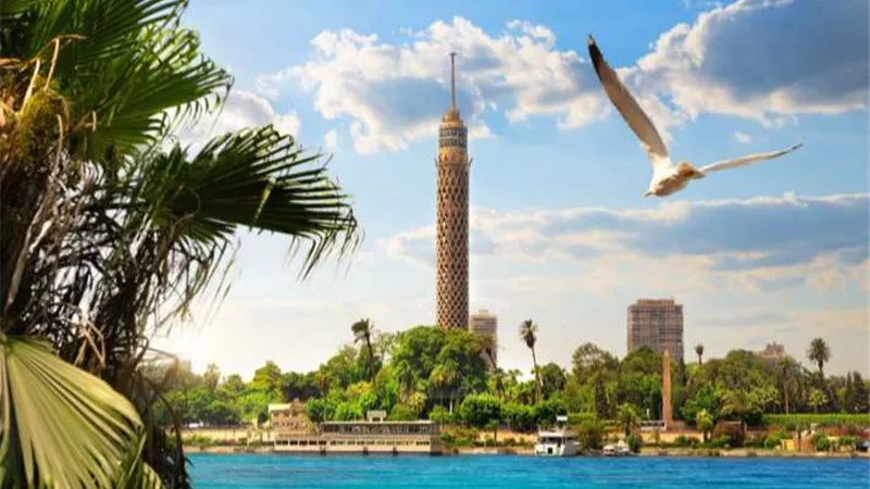 الداخلية تنقذ طالبا من الانتحار من أعلى برج القاهرة
