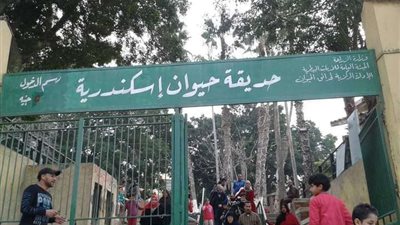 حديقة الحيوان بالإسكندرية تشهد إقبال متوسط بعد 5 أشهر من الإغلاق... صور