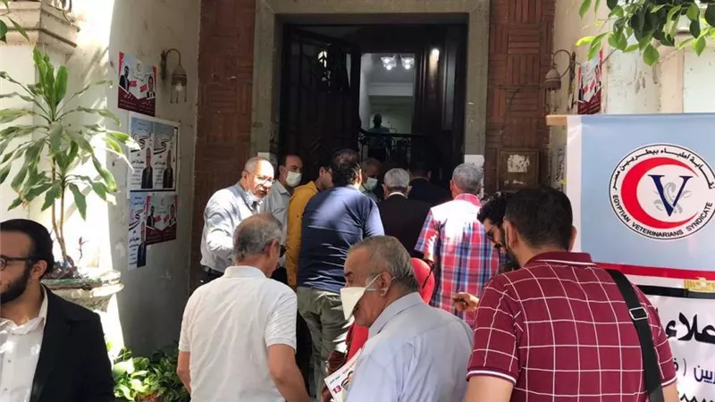 انطلاق انتخابات الأطباء البيطريين على مستوى الجمهورية