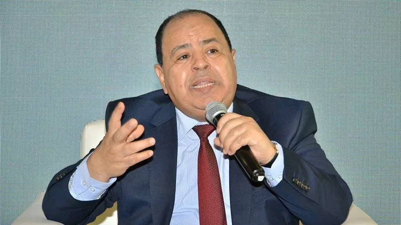 وزير المالية:  مستمرون فى مساندة القطاع التصديري