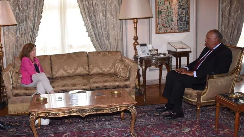 سامح شكري يستقبل المُمثلة الخاصة للأمين العام في ليبيا بالإنابة