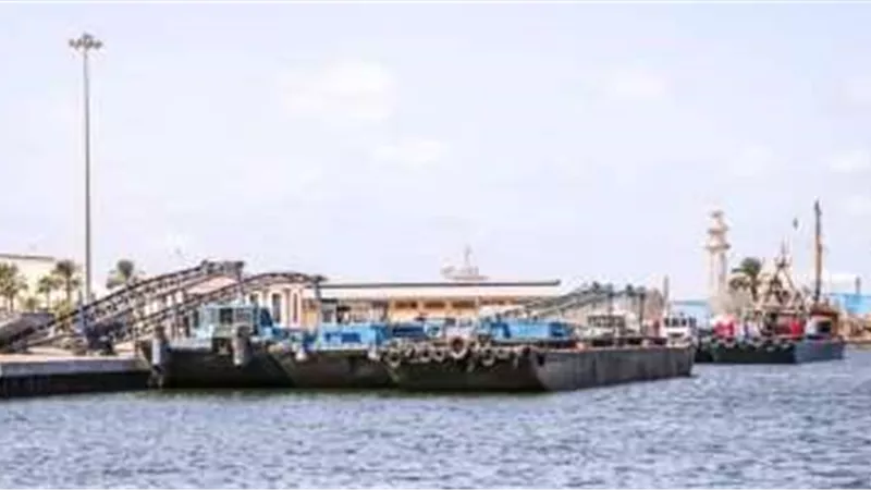 ميناء دمياط يستقبل ناقلة الغاز المسال 