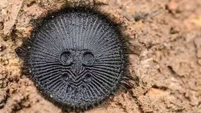 ستموت في أقل من دقيقة .. إحذر تلامس هذة الأشياء