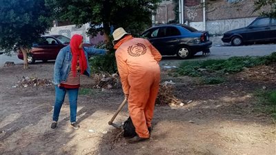 جهاز التطوير والتجميل يواصل أعماله بمدينة الإسماعيلية
