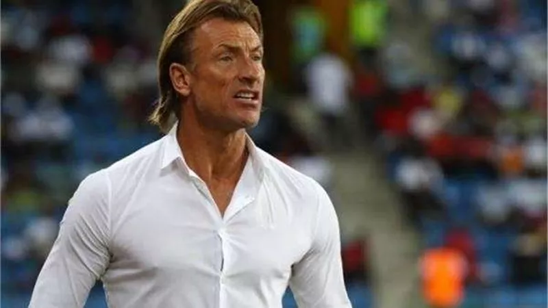 هيرفي رينار: أنا فرنسي.. ولاكن سأشجع المغرب أمام فرنسا في كأس العالم