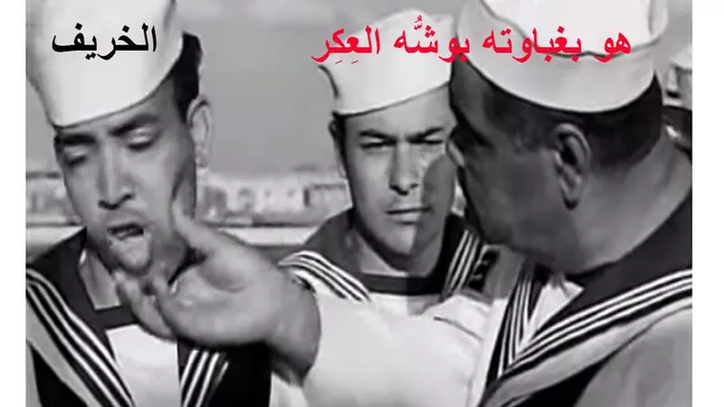 الأرصاد: طقس معتدل نهارا مائلا للبرودة ليلا والصغرى بالقاهرة 14