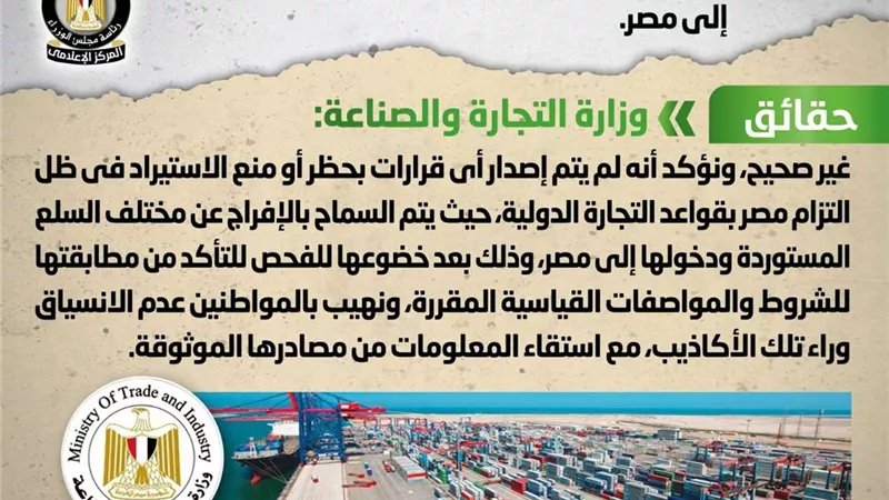 الحكومة تكشف حقيقة إصدار قرار بحظر دخول بعض واردات السلع إلى مصر