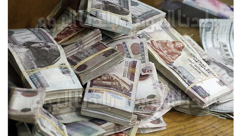 سقوط مزور عملات