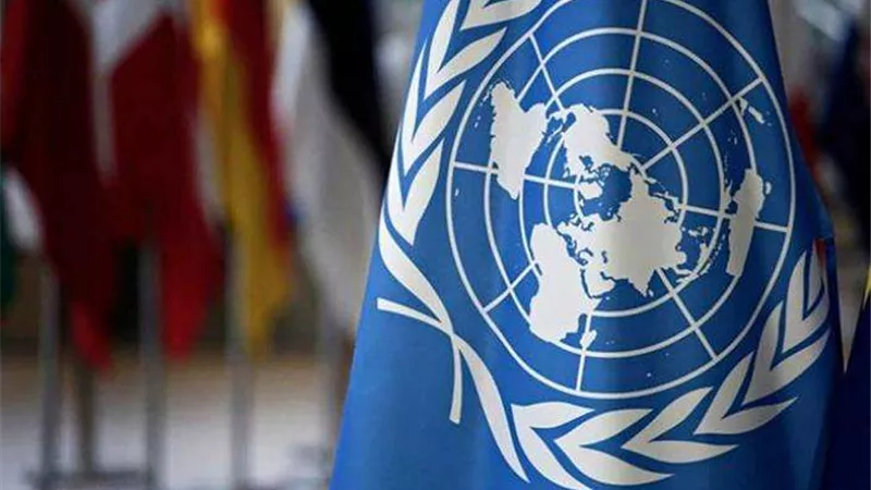 علاء شلبي: مصر اتخذت خطوات مهمة لتعزيز التقدم في مجال حقوق الإنسان.. فيديو