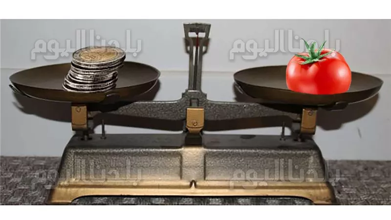رقم ورابط الإبلاغ عن أي محل يغالي في الأسعار بمبادرة صوتك مسموع