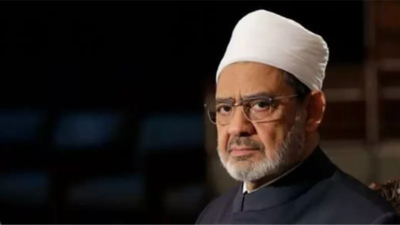 مستشار 
